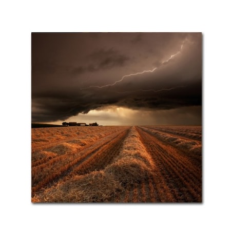 Storm In San Francisco Bay by Franz Schumacher, 35x35-Inch Canvas Wall Art
